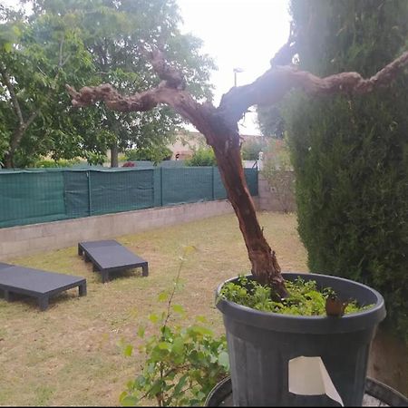 Chambre Proche N7 / A7 / Ardeche / Via-Rhona / Velo-Drome Apartment Livron-sur-Drome Exterior photo